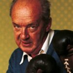 Nabokov's prose style